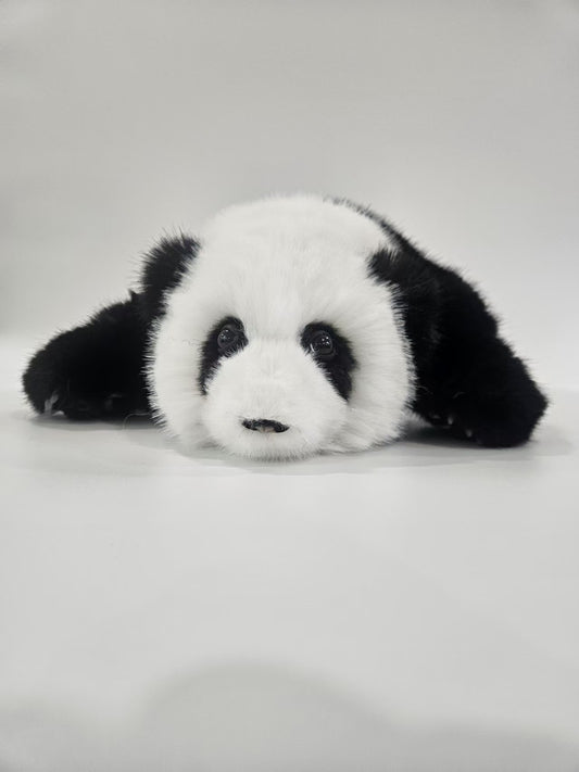 Hua Hua Panda Plush – Three Months Old
