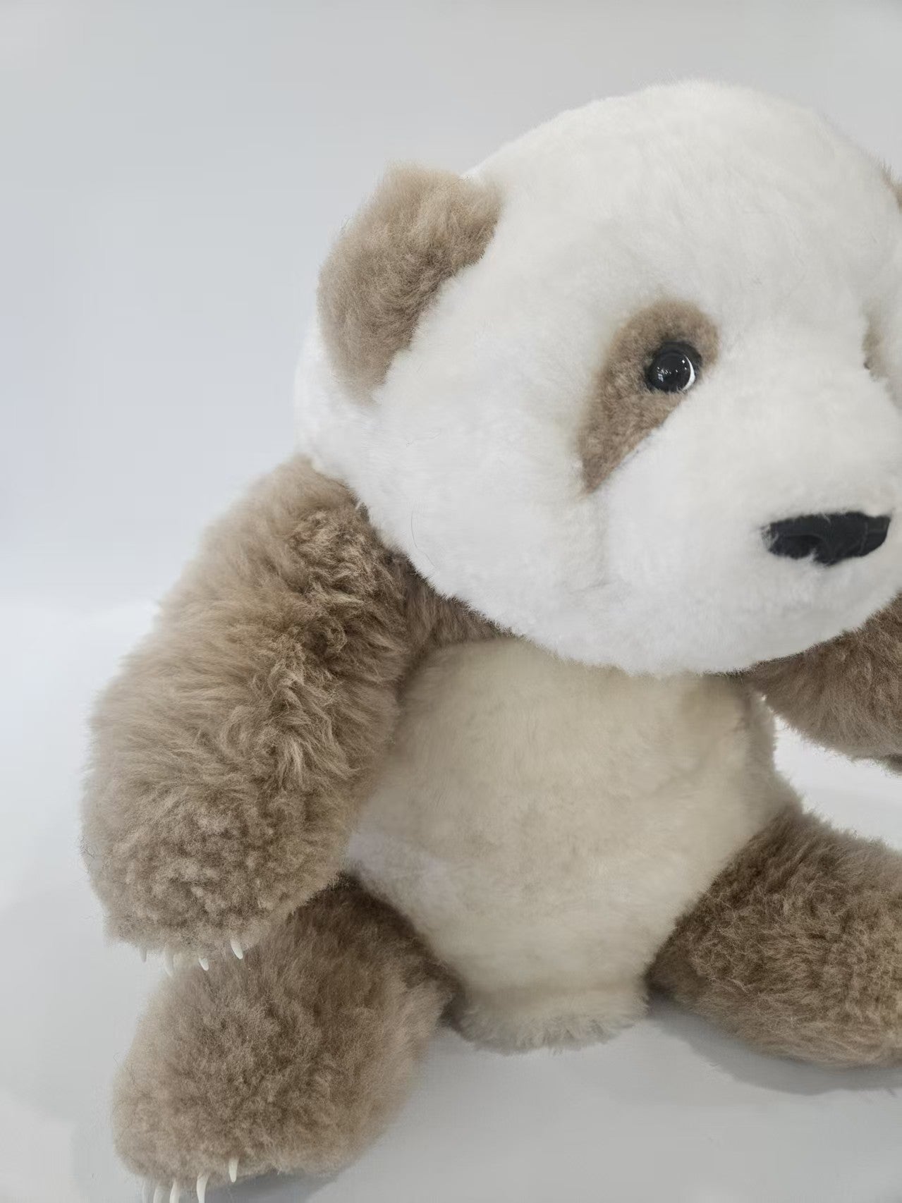 The giant panda Qi Zai