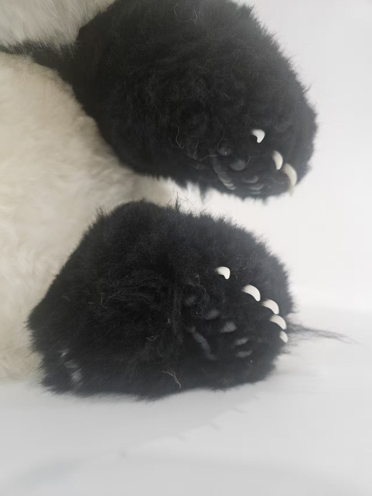 The giant panda Hua Hua