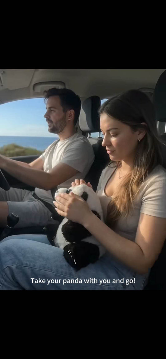 Take Your Panda With You and Go