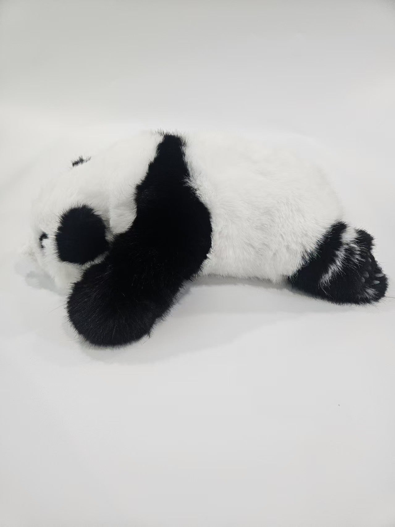 The giant panda Hua Hua [Three months of Hua Hua]