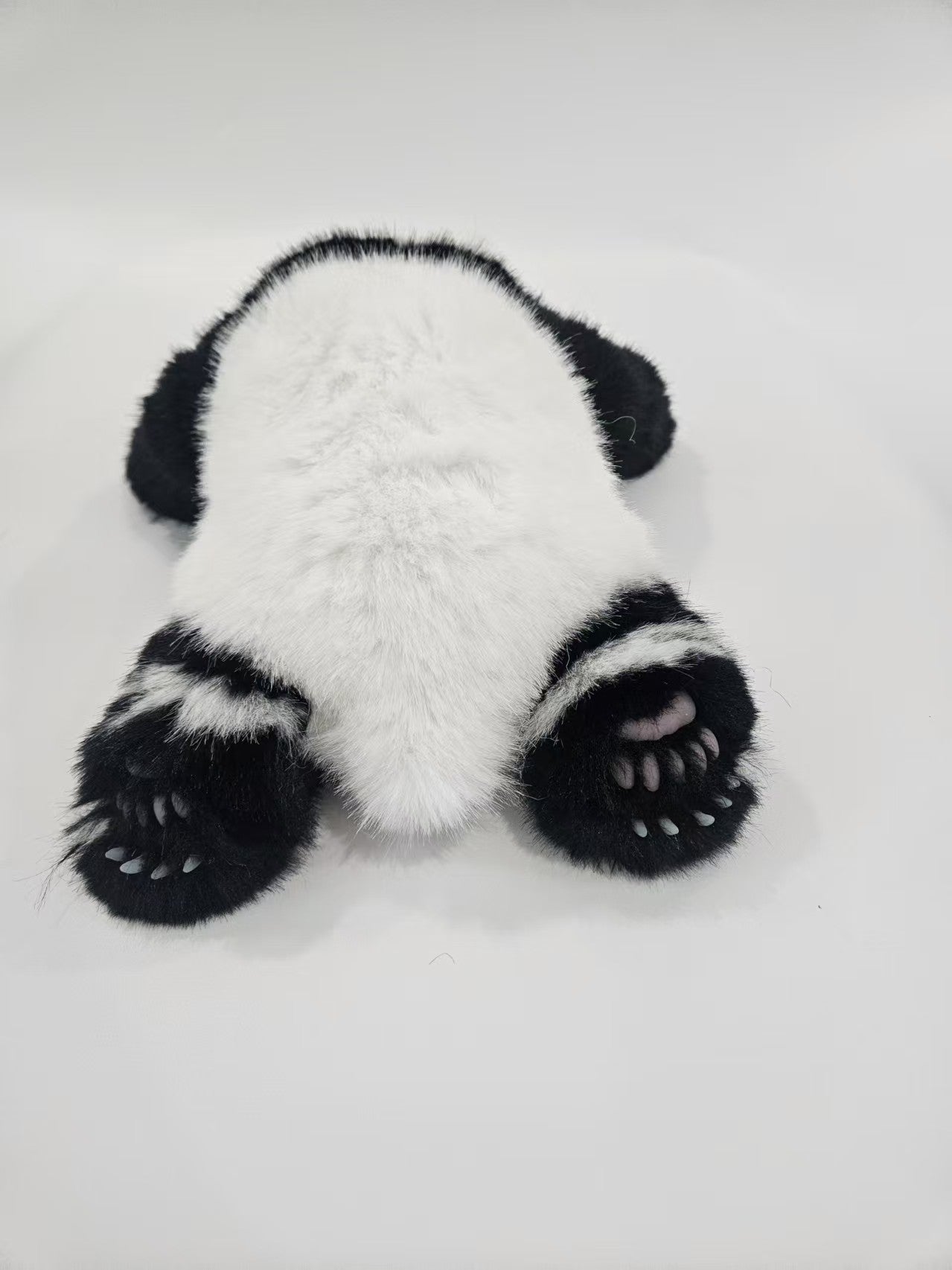 The giant panda Hua Hua [Three months of Hua Hua]