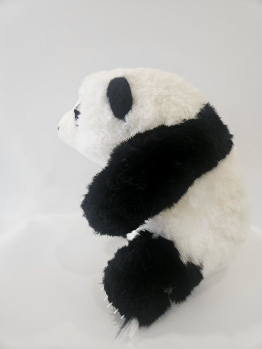 The giant panda Hua Hua