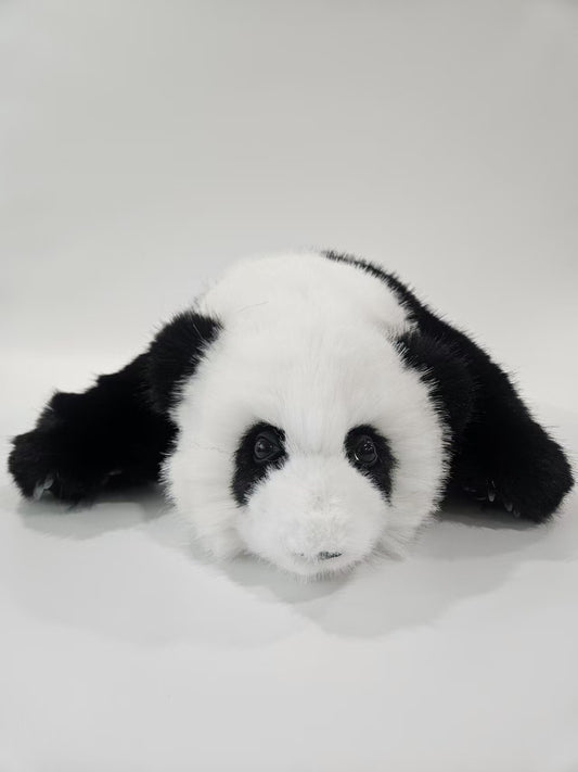 The giant panda Hua Hua [Three months of Hua Hua]