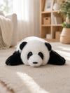 Hua Hua Panda Plush – Three Months Old