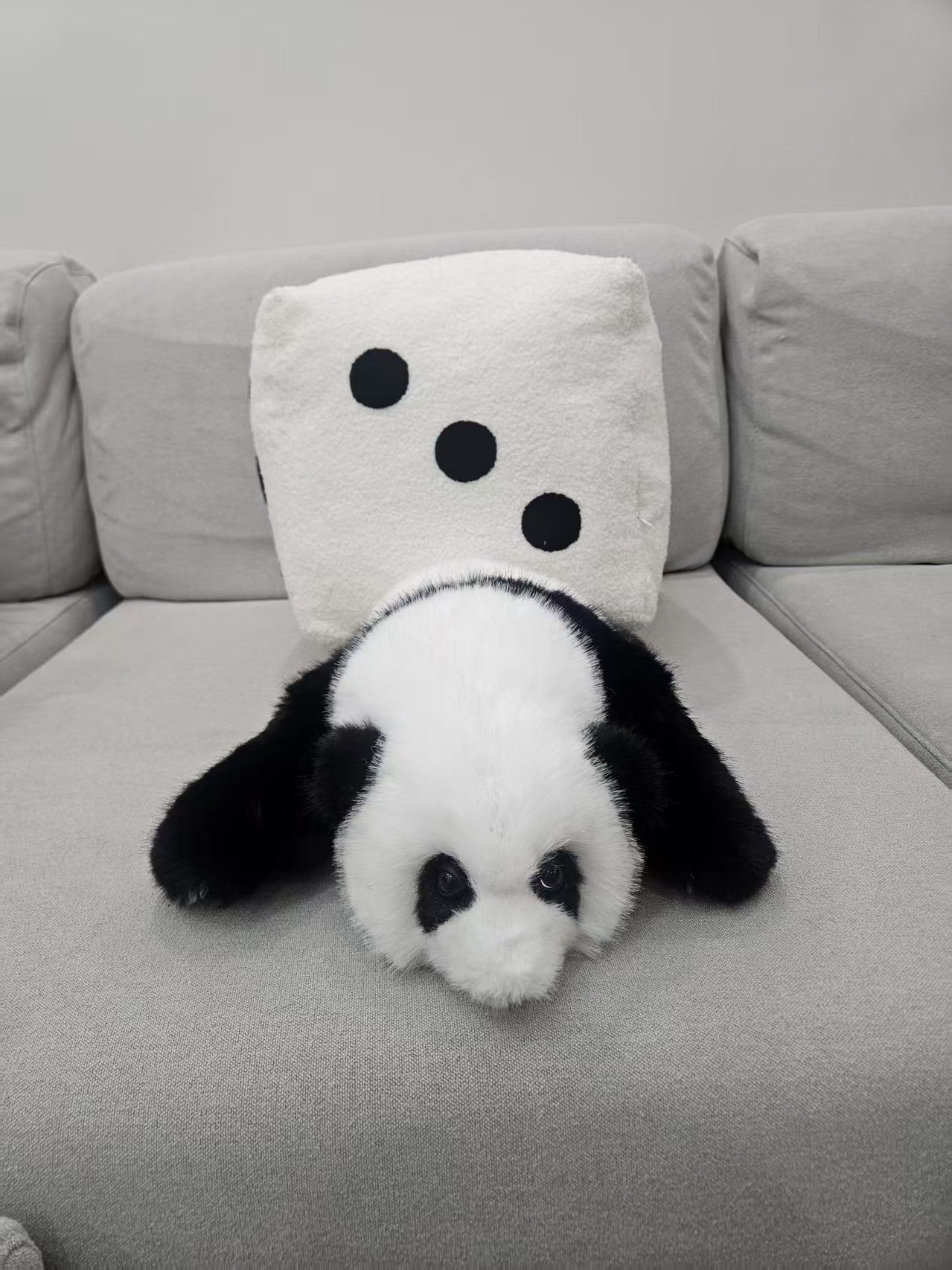 Three Month Old Hua Hua Panda & Dice Set