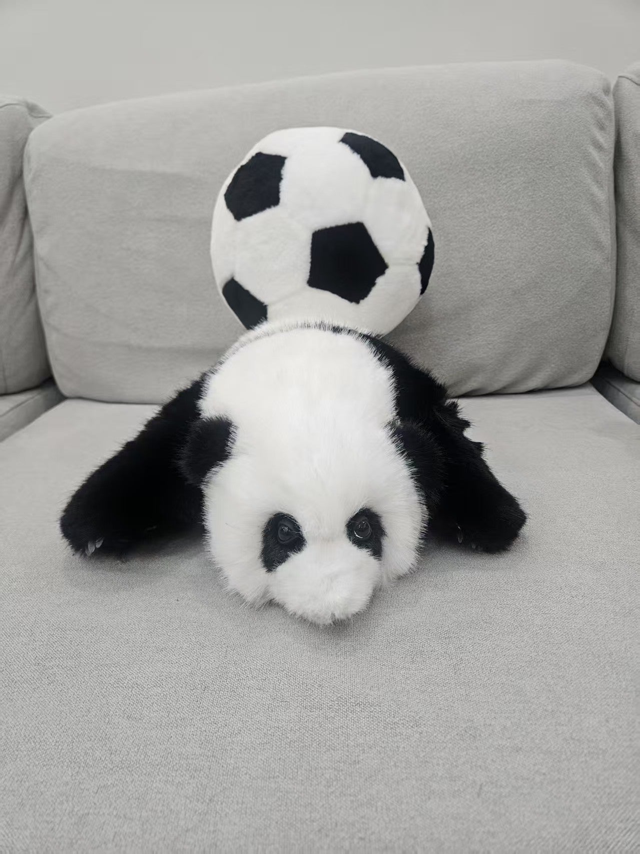 Three Month Old Hua Hua Panda & Football Plush Set