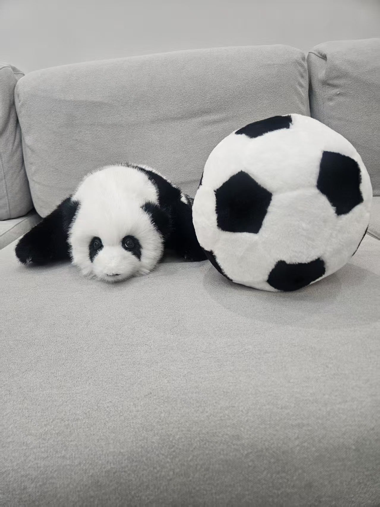 Three Month Old Hua Hua Panda & Football Plush Set