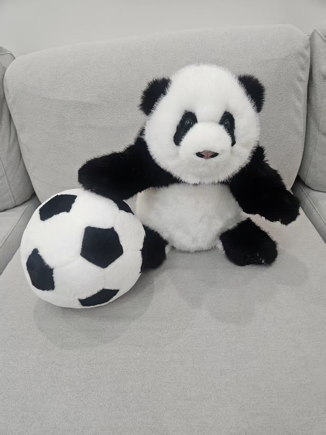 Chengshi Panda & Football Plush Set