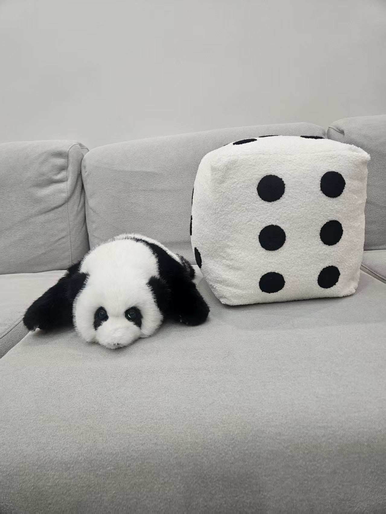 Three Month Old Hua Hua Panda & Dice Set